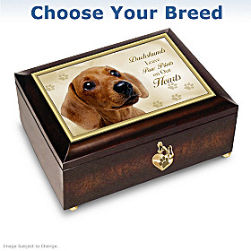 Dogs Leave Paw Prints On Our Hearts Music Box